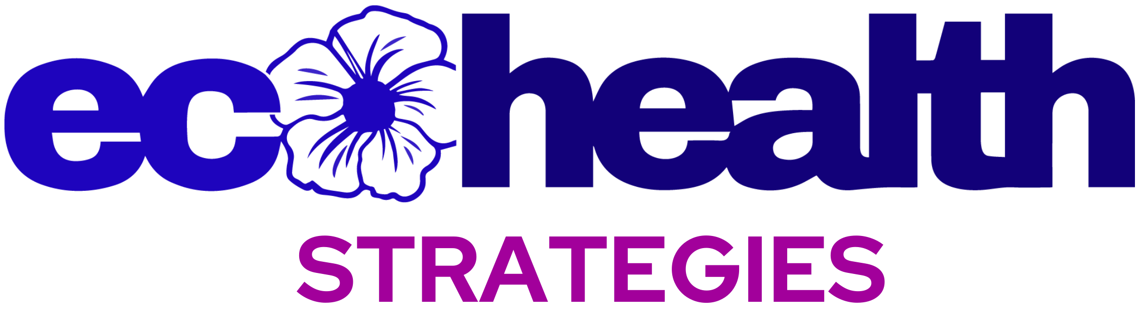 ecohealth strategies logo